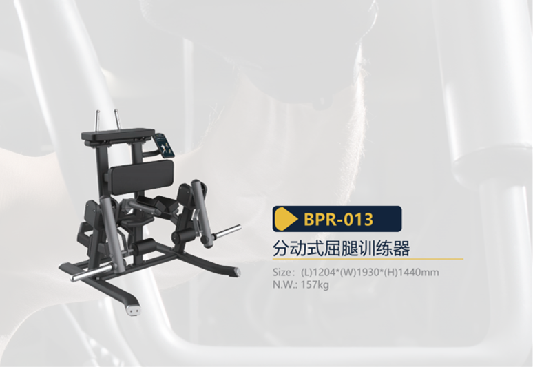 BPR-013.png